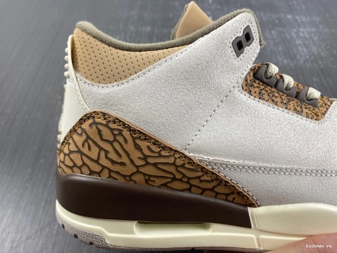 Rep MAX Air Jordan 3 Palomino CT8532-102 0627